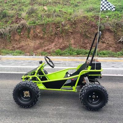 Pistas de neve e areia 1000W Drive de eixo Go Kart Aotong Motor Elétrico Golf Buggy