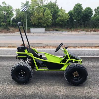 Pistas de neve e areia 1000W Drive de eixo Go Kart Aotong Motor Elétrico Golf Buggy