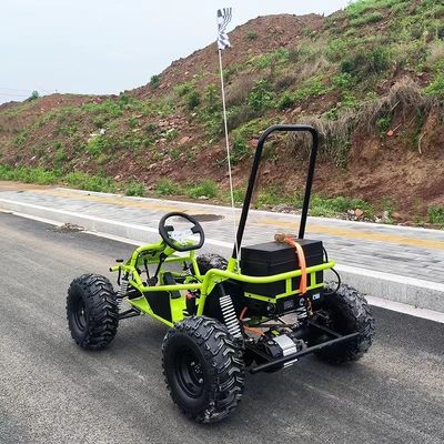 Pistas de neve e areia 1000W Drive de eixo Go Kart Aotong Motor Elétrico Golf Buggy