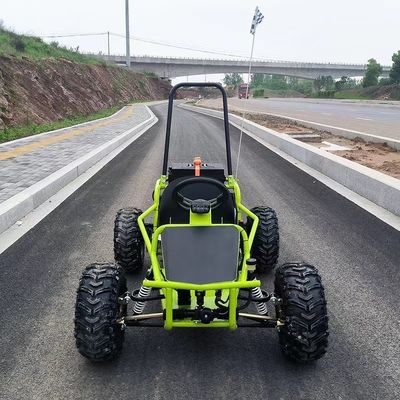Pistas de neve e areia 1000W Drive de eixo Go Kart Aotong Motor Elétrico Golf Buggy