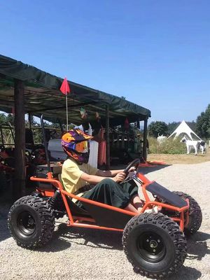 Pistas de neve e areia 1000W Drive de eixo Go Kart Aotong Motor Elétrico Golf Buggy