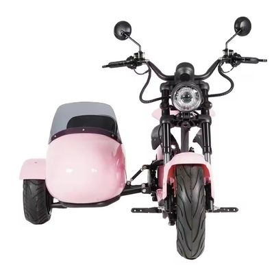 2000W Triciclo Triciclo de carga elétrico de três rodas de pneus de gordura Perfeito para suas necessidades B2B