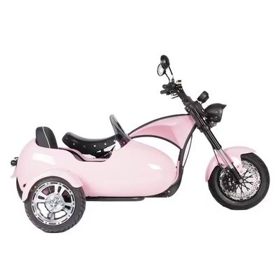 2000W Triciclo Triciclo de carga elétrico de três rodas de pneus de gordura Perfeito para suas necessidades B2B