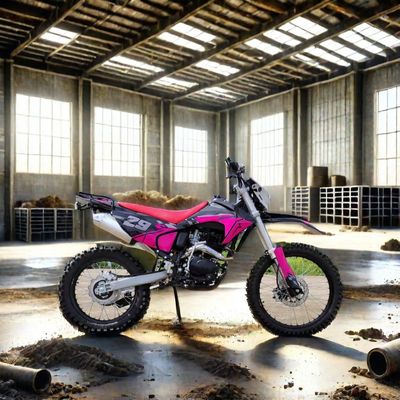 Electric Start 250cc Enduro Dirt Bike Max. Velocidade 100km/h Ideal para aventuras off-road
