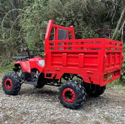 ATV agrícola Aotong 125cc/150cc com reboque e caixa de carga 2WD 4WD Off Road ATV Voltagem 12V