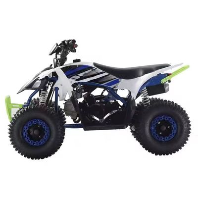 2024 Farm ATV 110cc ATV Gas 125cc Quad Bikes com capacidade de classificação de tração automática ≥25°