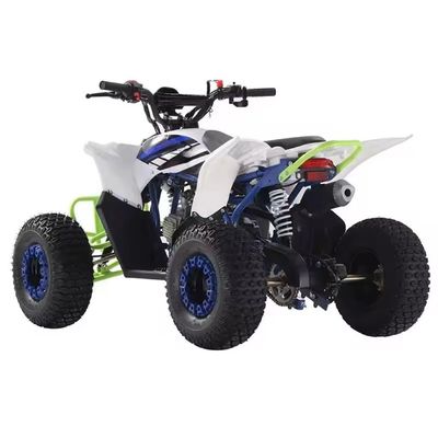 2024 Farm ATV 110cc ATV Gas 125cc Quad Bikes com capacidade de classificação de tração automática ≥25°