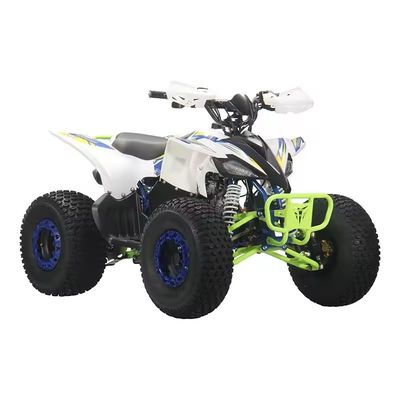 2024 Farm ATV 110cc ATV Gas 125cc Quad Bikes com capacidade de classificação de tração automática ≥25°