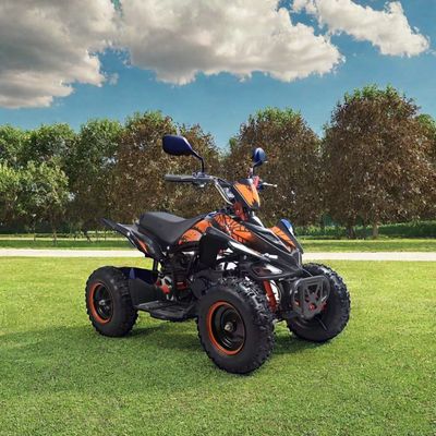 Kids 50cc 4 Wheeler Quad Atv com Certificação CE e Mini Four Wheel Motorcycle 49cc