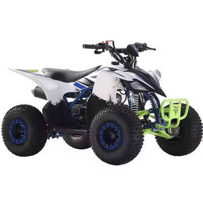 FOB CFR Ofertas para 125cc Gás ATV Quad Bikes Off Road Bike 110cc 125cc Cores personalizadas