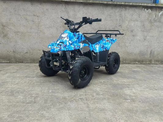 70CC/110CC Automático Quad Fun Toy ATV Buggy Para Adolescentes com 1 cilindro e acessível