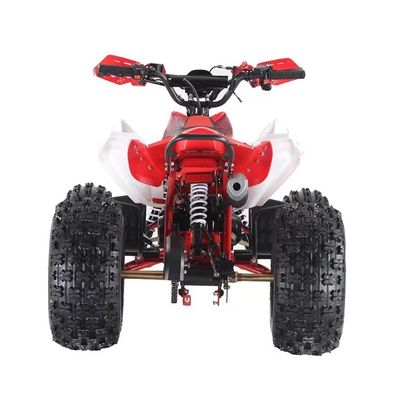 110cc/125CC motor de gás Quad Bike de quatro rodas com tambor dianteiro e sistema de freio de disco traseiro