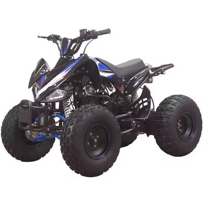 110cc/125CC motor de gás Quad Bike de quatro rodas com tambor dianteiro e sistema de freio de disco traseiro