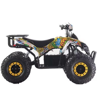 Cores personalizadas Quads ATV 1000W/1500W com freio de disco Ft Rr