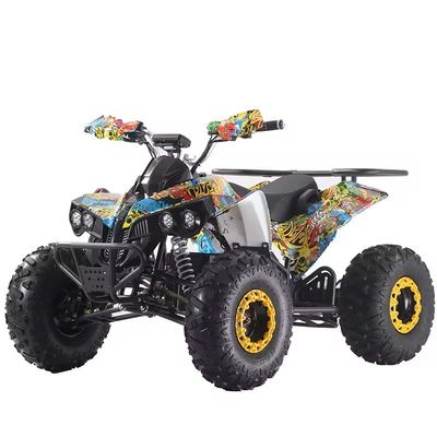 Cores personalizadas Quads ATV 1000W/1500W com freio de disco Ft Rr