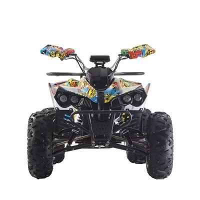 Cores personalizadas Quads ATV 1000W/1500W com freio de disco Ft Rr