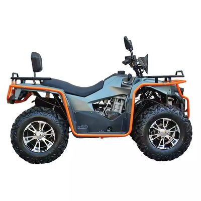 Cores personalizadas 2024 Farm Quads 300cc 4x4 Big Power Utility ATV com capacidade de grau