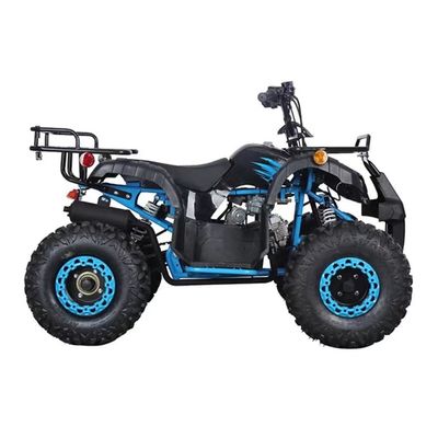 Certificado CE 110cc 125cc Big Power Farm Quad Bike para a aventura ao ar livre das crianças