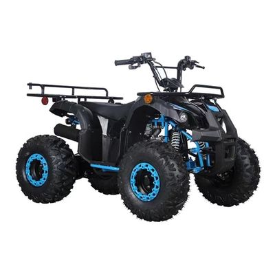 Certificado CE 110cc 125cc Big Power Farm Quad Bike para a aventura ao ar livre das crianças
