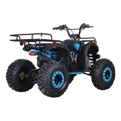 Certificado CE 110cc 125cc Big Power Farm Quad Bike para a aventura ao ar livre das crianças