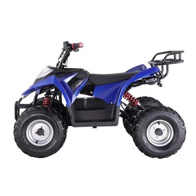 Mini ATV Quad elétrico acessível com capacidade de classificação de ≥ 25° e bloqueio diferencial