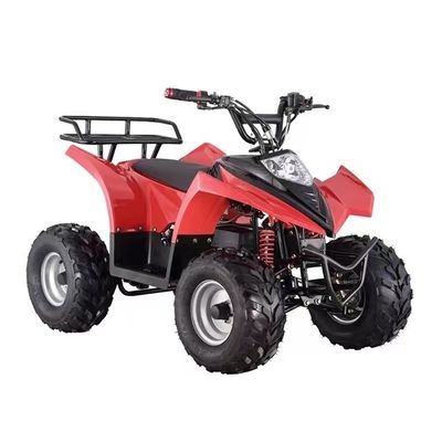 Mini ATV Quad elétrico acessível com capacidade de classificação de ≥ 25° e bloqueio diferencial