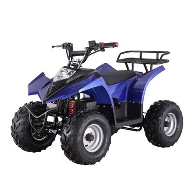 Mini ATV Quad elétrico acessível com capacidade de classificação de ≥ 25° e bloqueio diferencial