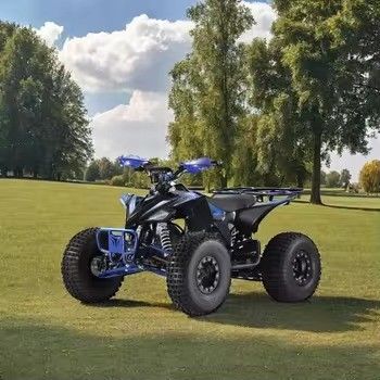 1500W ATV Eco-Friendly Four Wheeler Tempo de carregamento h 7-9h Perfeito para montanha e praia