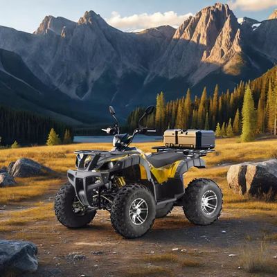 DISC Brake Electric 3000w Buggy para adultos 1500w*2 UTV ATV 4x4 Veículo fora de estrada
