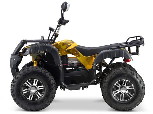 2WD/4WD compatível Tipo de condução 72V Quad elétrico ATV veículo utilitário agrícola buggy com 7-9h tempo de carga