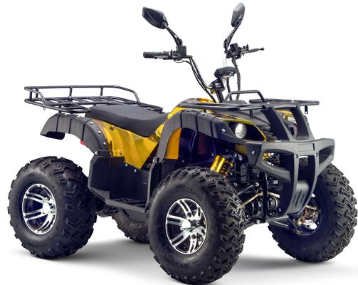 Potente 3000W 1500W 4WD 4x4 Moto ATV UTV 1000cc Quad ATV com distância entre rodas 1800-2200mm