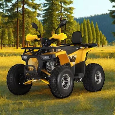 125cc Farm Quads ATV para Adultos Potente motor a gás / diesel e Chain Drive