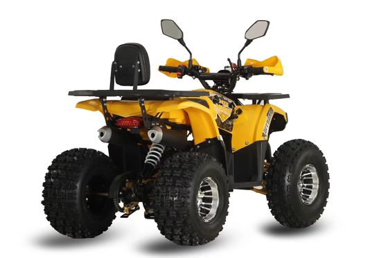 Customizações de cores suportadas Potente 125 cc Chain Drive Gas Racing ATV para adultos
