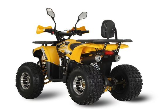 Customizações de cores suportadas Potente 125 cc Chain Drive Gas Racing ATV para adultos