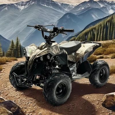 Combustível a gás 110CC ATV Alimentado por sistema de transmissão de tração por cadeia