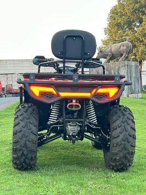 Directo 300cc 350cc 4x4 ATV com Sistema de Transmissão de Potência e 25x8-12/25x10-12 Pneus