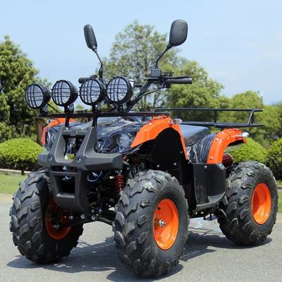 110cc 125cc ATV acessível Automático Chain Drive com bloqueio diferencial não equipado