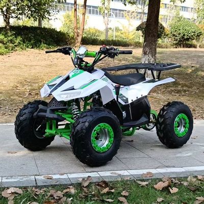 1250*760*800MM 110CC Disposição Kids ATV com arranque elétrico e Chain Drive