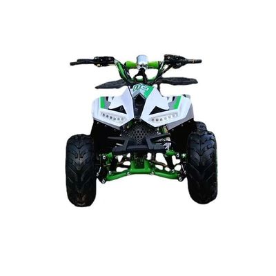 1250*760*800MM 110CC Disposição Kids ATV com arranque elétrico e Chain Drive
