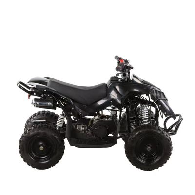 49cc Kids ATV 4 Wheels Kids 4x4 Side by Side Mini ATV com transmissão de cadeia