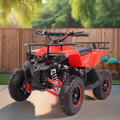Mini Quad de 49 CC com baixo consumo de combustível Torque máximo Nm ≤ 20Nm Gás combustível / diesel