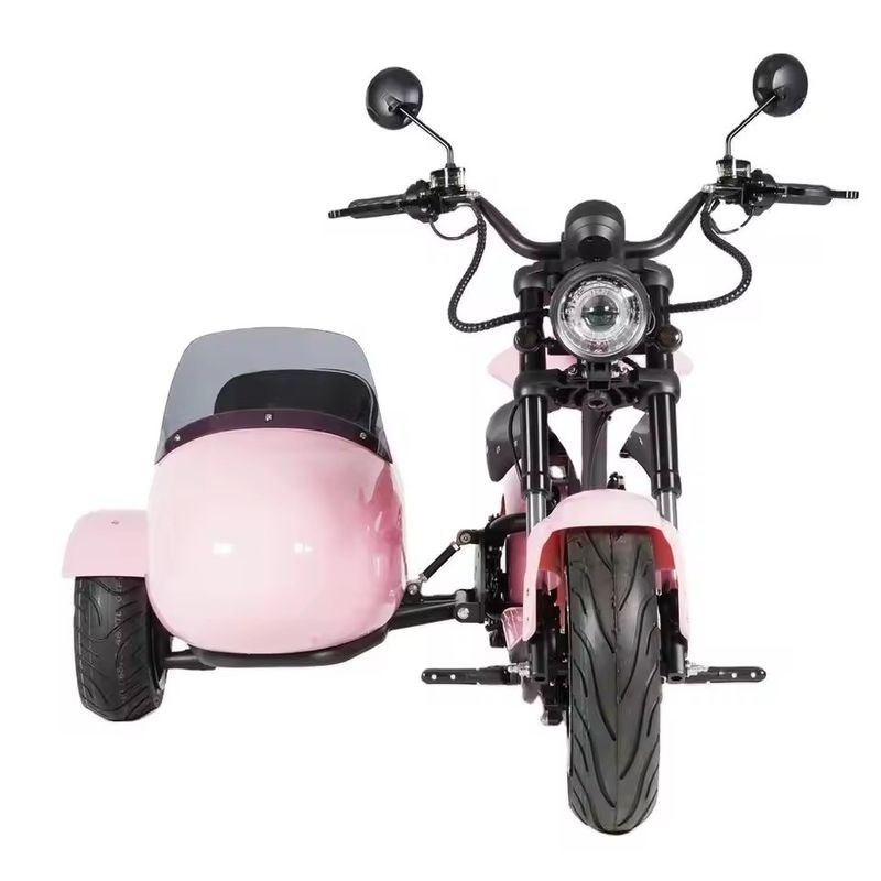 Motocicleta elétrica Sidecar com transporte de animais 1000W-3000W 60-80km Alcance 41-50km/h Velocidade máxima