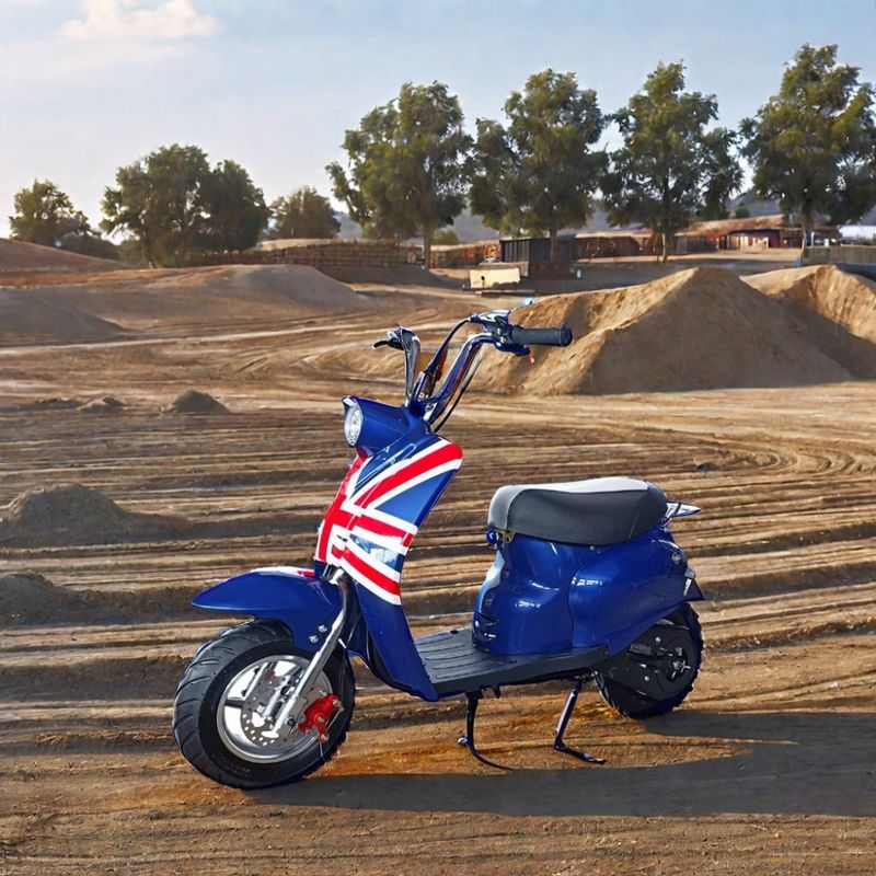 DISC freio 49cc Mini moto de gás para diversão ao ar livre das crianças em cores personalizadas