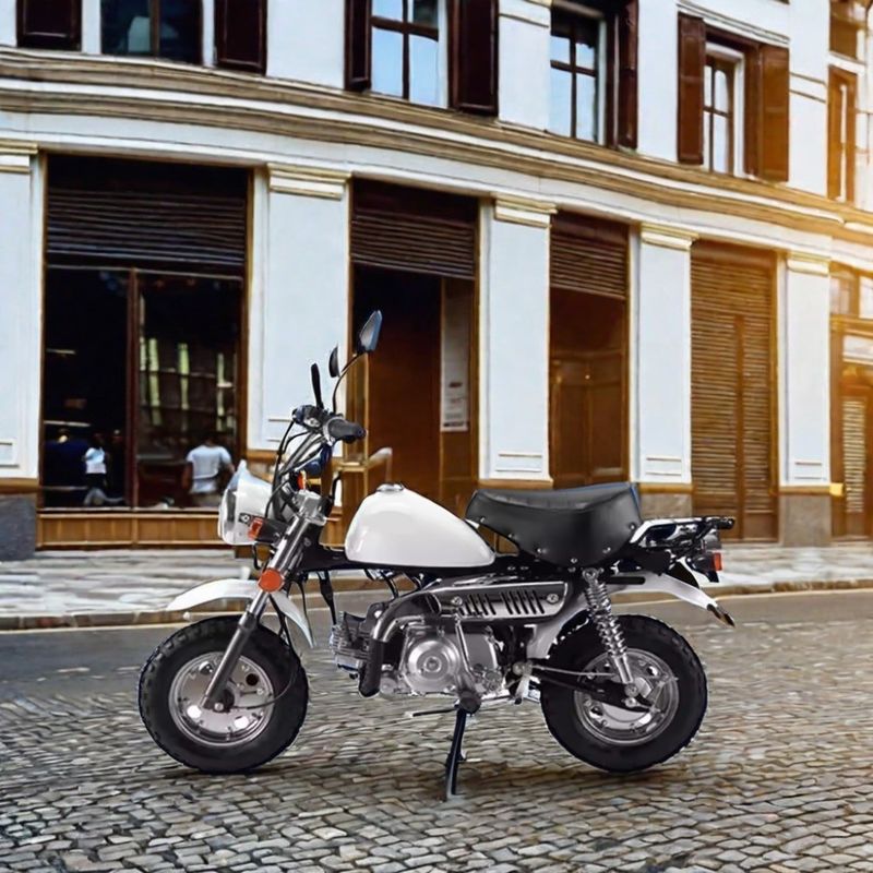 Off-Road Adventure 110cc Monkey Bike com certificado CE e cores personalizadas suportadas