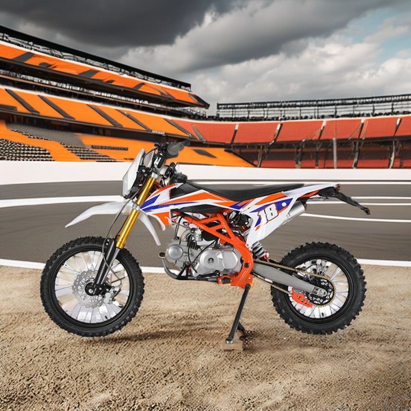 Adultos de gás 190cc 125cc Dirt Bike corrida off-road moto moto motocross 160cc 250cc