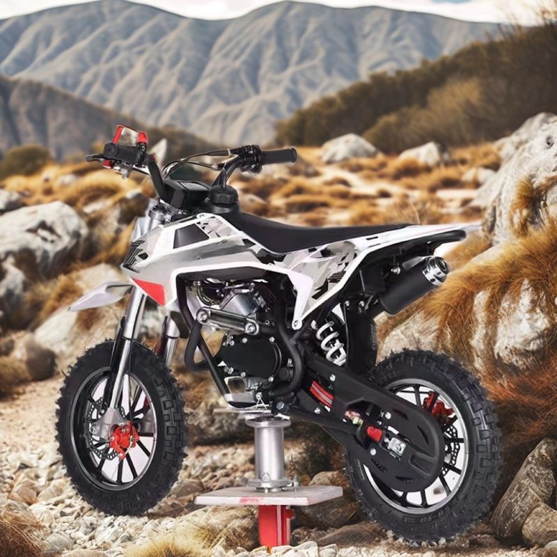 Cores personalizadas com suporte 60CC Motor de 4 tempos de bicicleta infantil com freio DISC