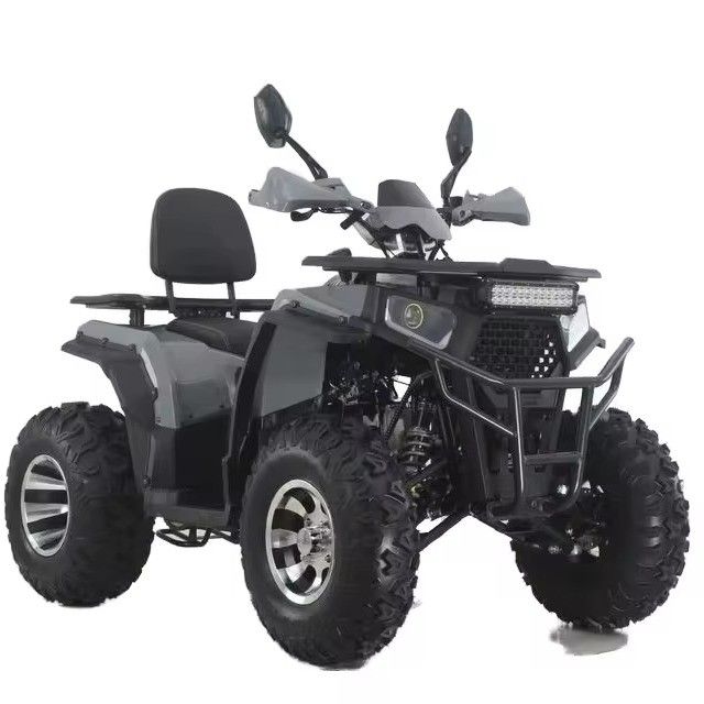 Aotong GY6 Motor 200CC/250CC Automática Quad Bike para Adultos 10INCH/12INCH Farm ATV