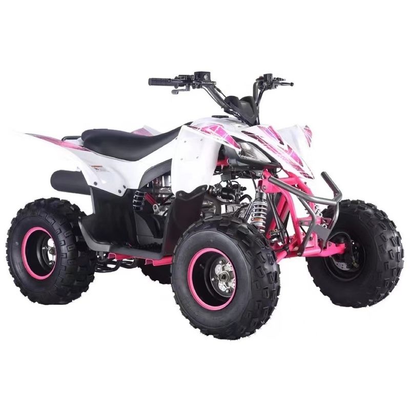 125cc Aotong Motor ATV Farm Quad Bike Transmissão automática Cores personalizadas suportadas