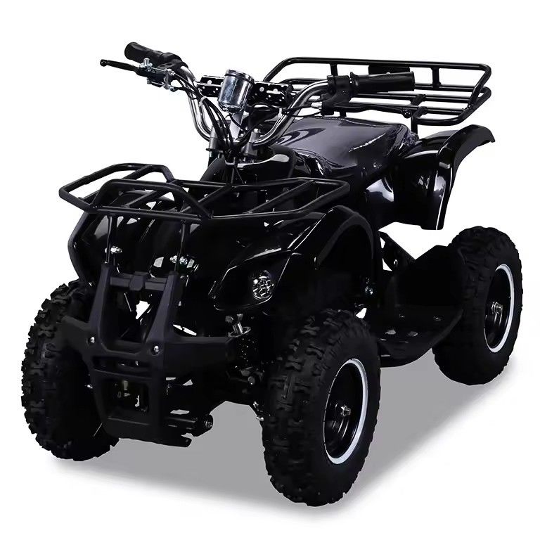 600-1000 mm distância entre eixos 36V 800W Mini Electric ATV com CE e Chain Drive Transmission