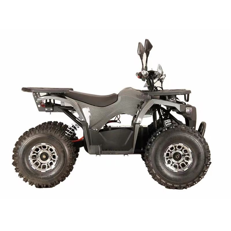 Cores personalizáveis Quad elétrico 1000w48V20Ah com sistema de travagem de disco dianteiro e disco traseiro